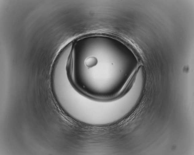 X0000094901316200712201125