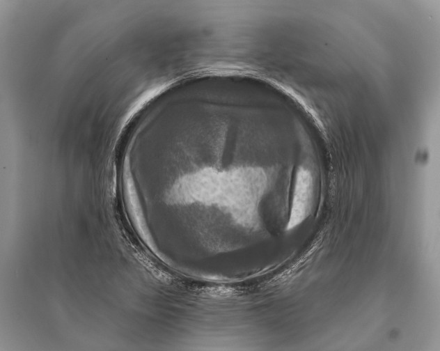 X0000094901317200712201125