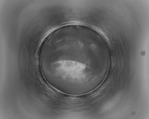 X0000094901318200712201125