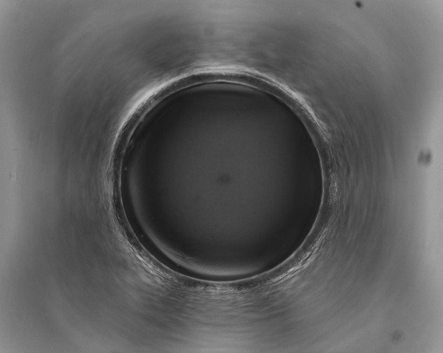 X0000094901319200712201125