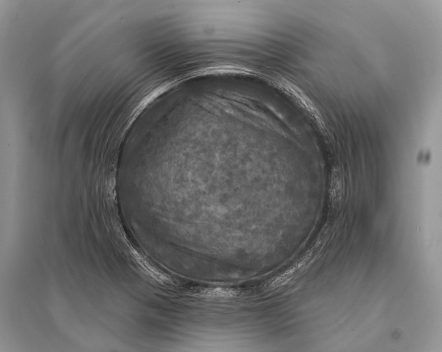 X0000094901321200712201125