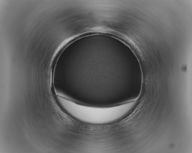 X0000094901323200712201125