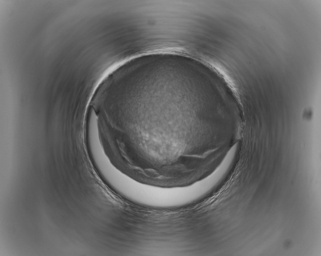 X0000094901324200712201125