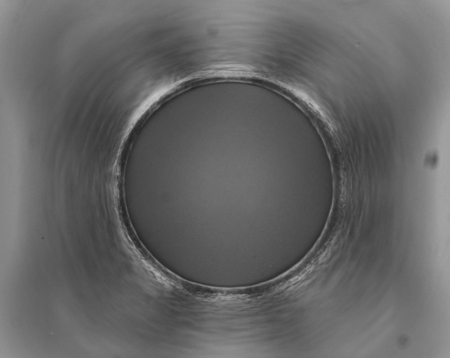 X0000094901325200712201125