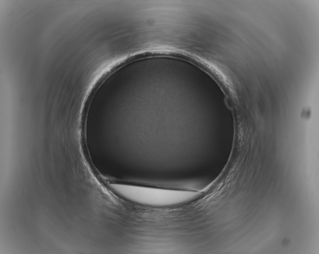 X0000094901327200712201125