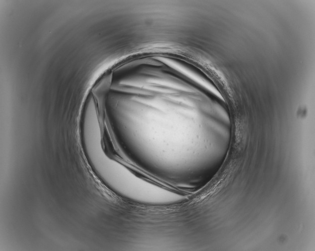 X0000094901328200712201125