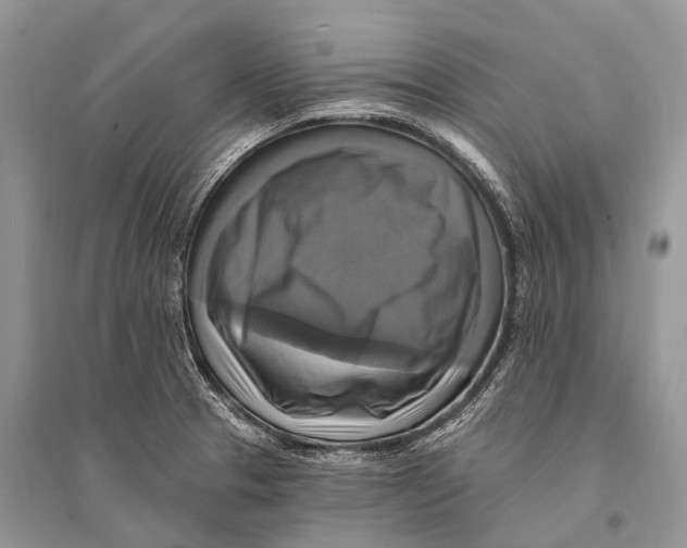 X0000094901329200712201125