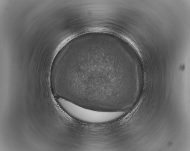 X0000094901330200712201125