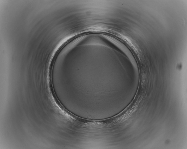 X0000094901331200712201125