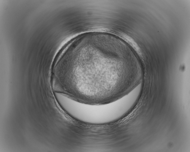 X0000094901332200712201125