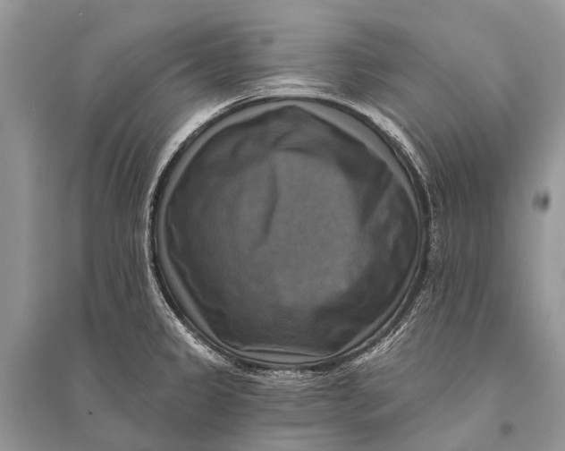 X0000094901333200712201125