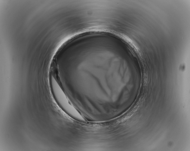 X0000094901334200712201125