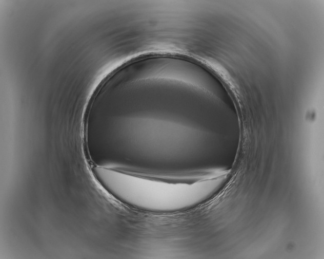 X0000094901335200712201125