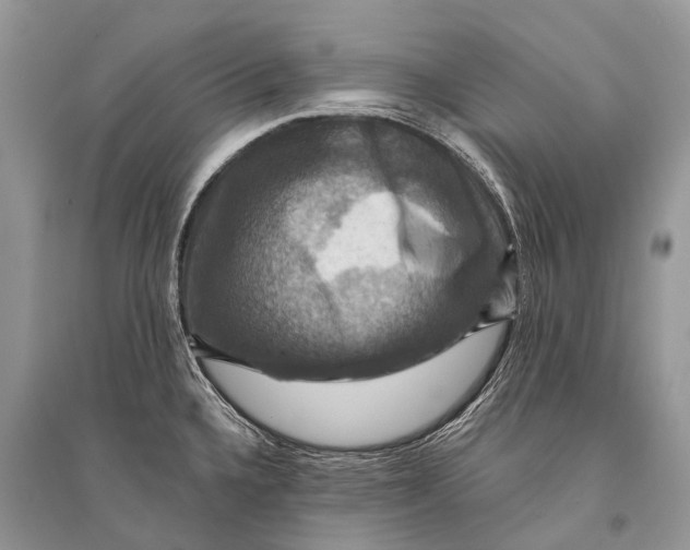 X0000094901336200712201125