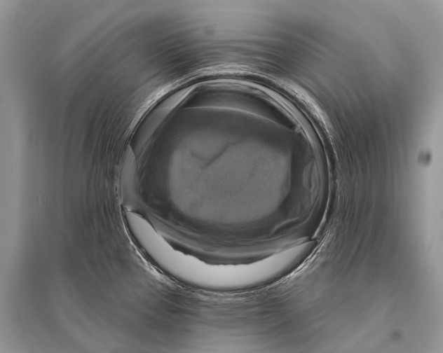 X0000094901337200712201125