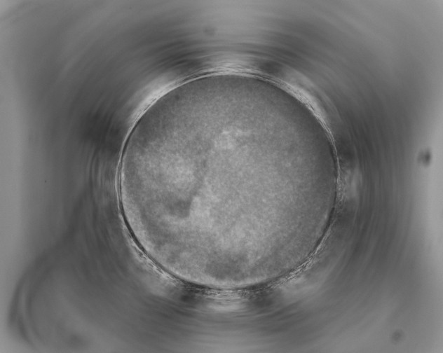 X0000094901338200712201125