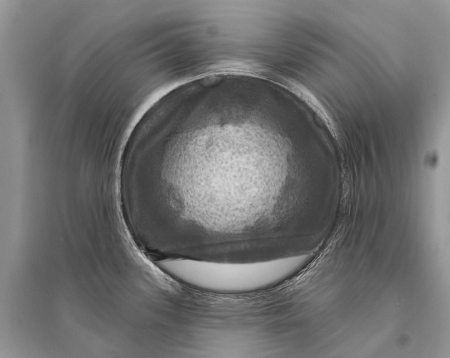 X0000094901339200712201125