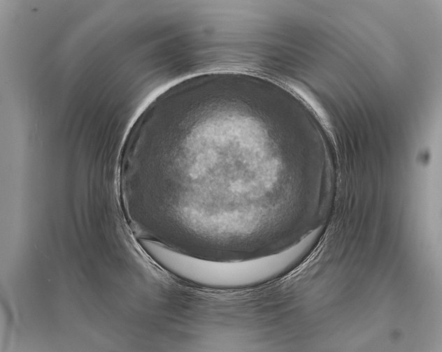 X0000094901340200712201126