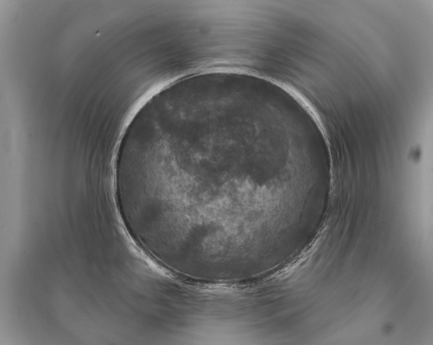 X0000094901341200712201126