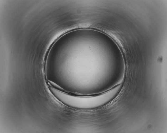 X0000094901342200712201126