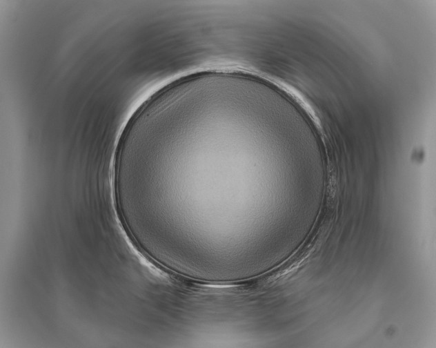 X0000094901343200712201126