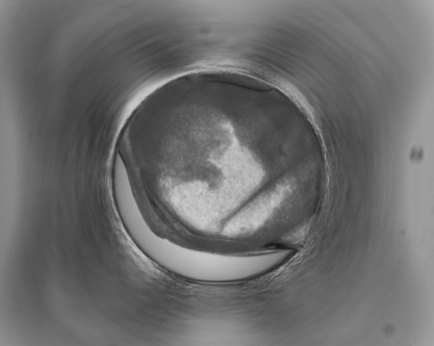 X0000094901344200712201126