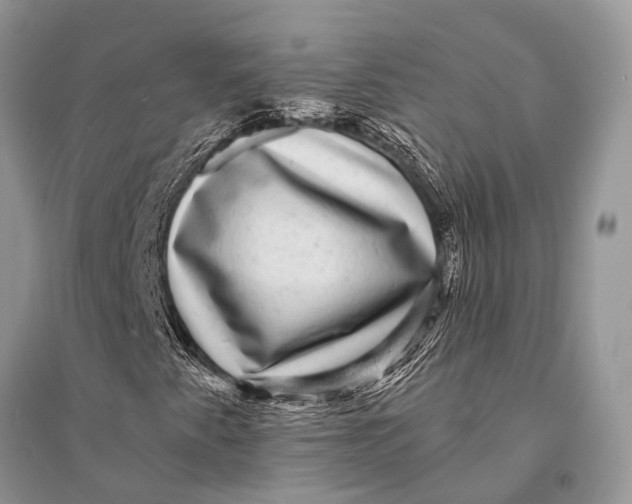 X0000094901345200712201125