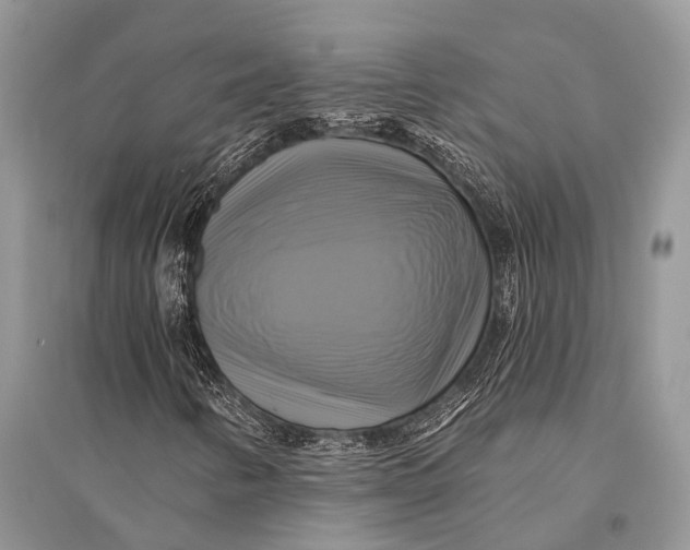 X0000094901346200712201125