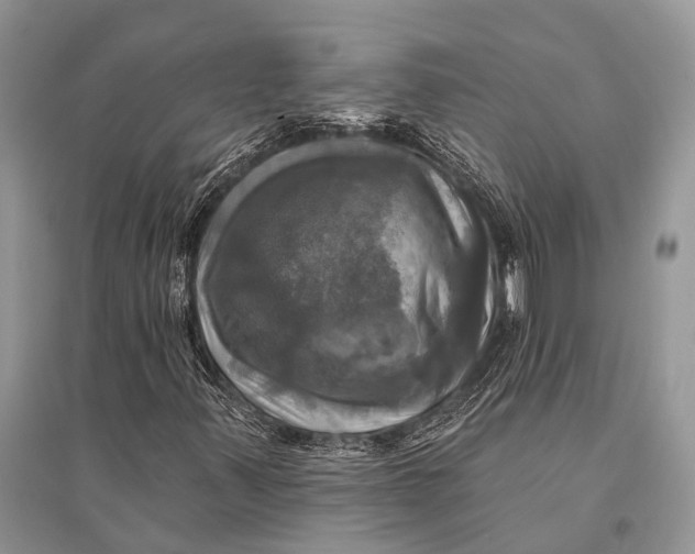 X0000094901347200712201125