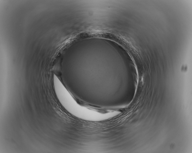 X0000094901348200712201125