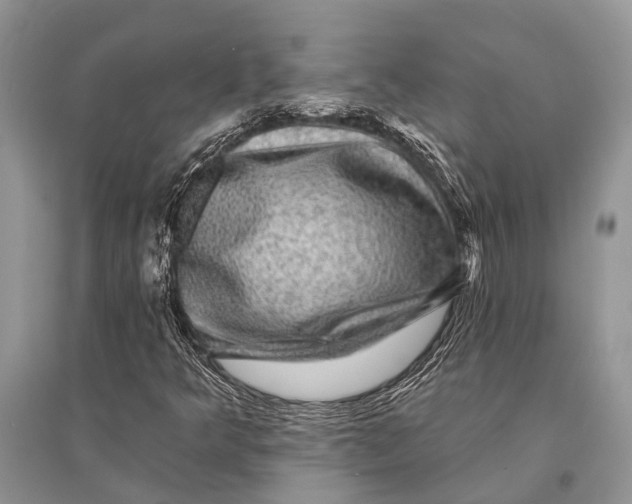 X0000094901349200712201125