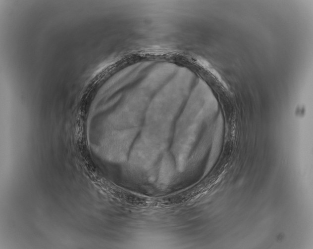 X0000094901350200712201125