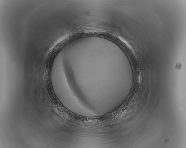 X0000094901351200712201125