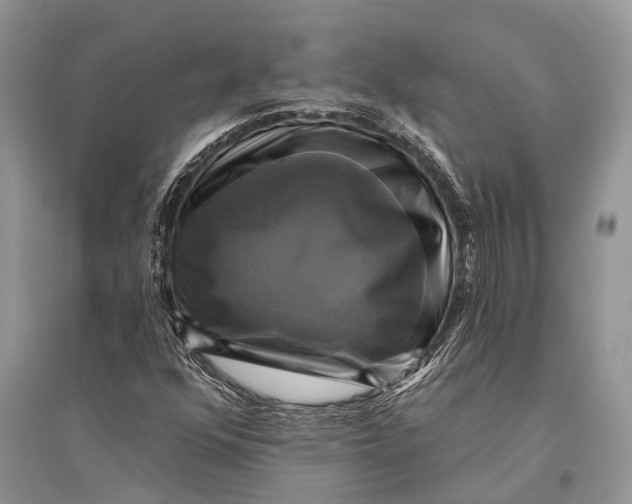 X0000094901352200712201125