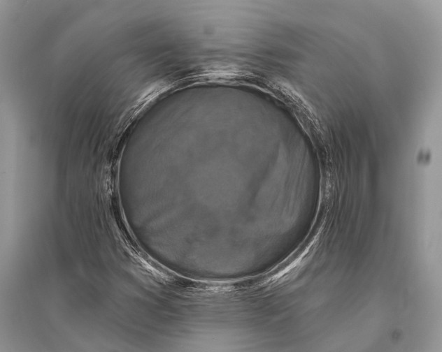 X0000094901353200712201125