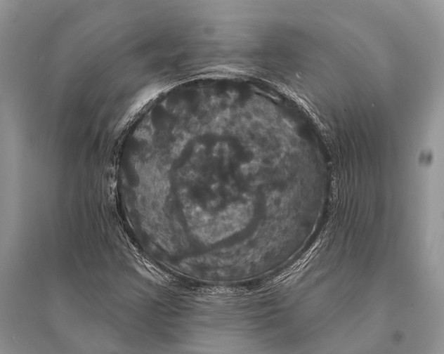 X0000094901355200712201124