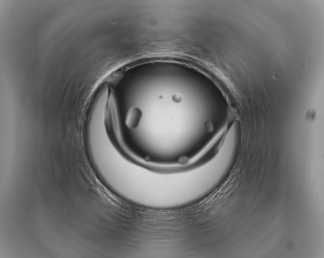 X0000094901356200712201124