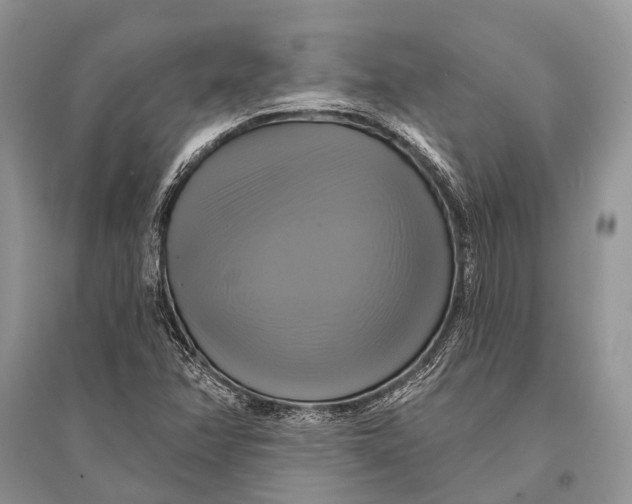 X0000094901358200712201124