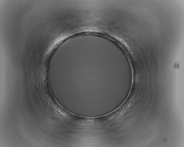 X0000094901359200712201124