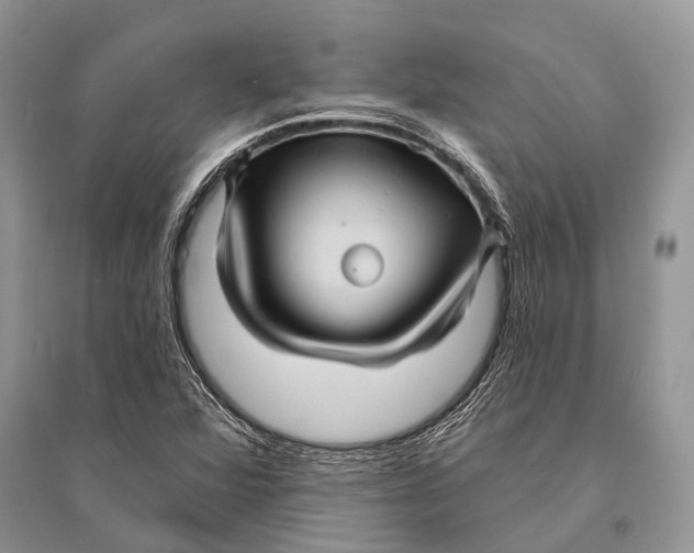 X0000094901360200712201124