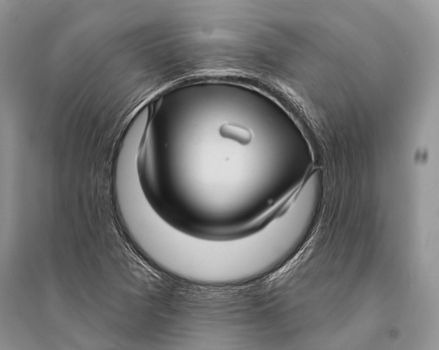 X0000094901361200712201124