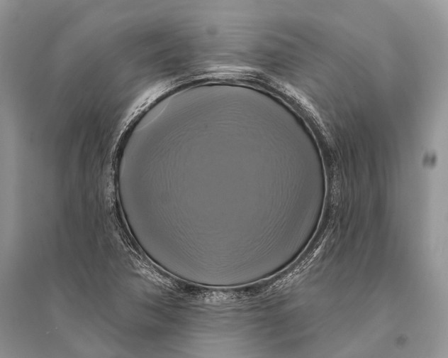 X0000094901362200712201124