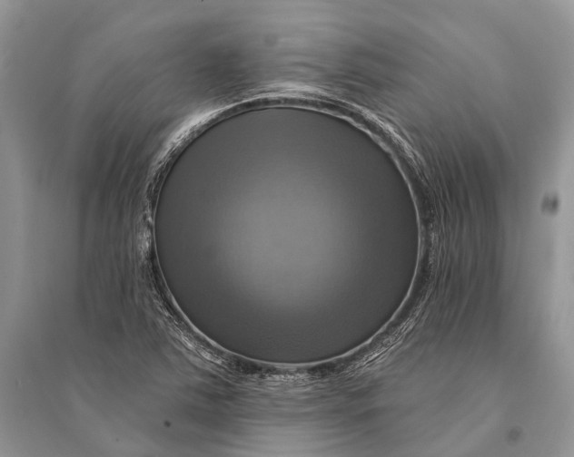 X0000094901363200712201124