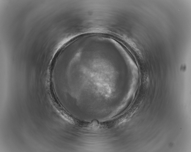 X0000094901364200712201124