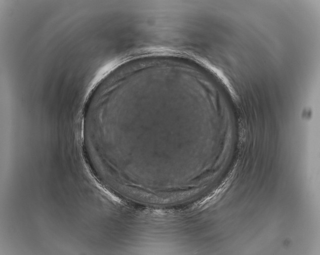 X0000094901365200712201124