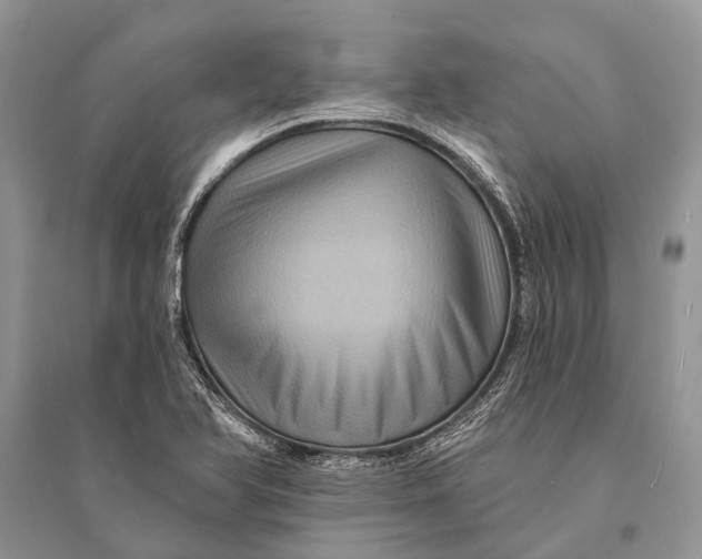 X0000094901366200712201124