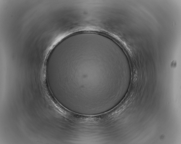 X0000094901367200712201124