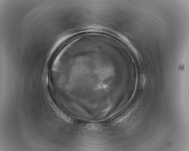 X0000094901368200712201124