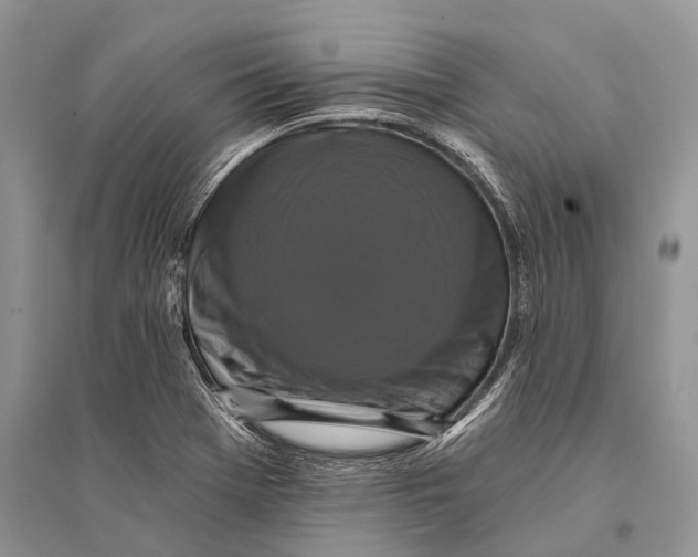 X0000094901369200712201124