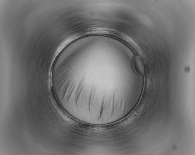 X0000094901370200712201124